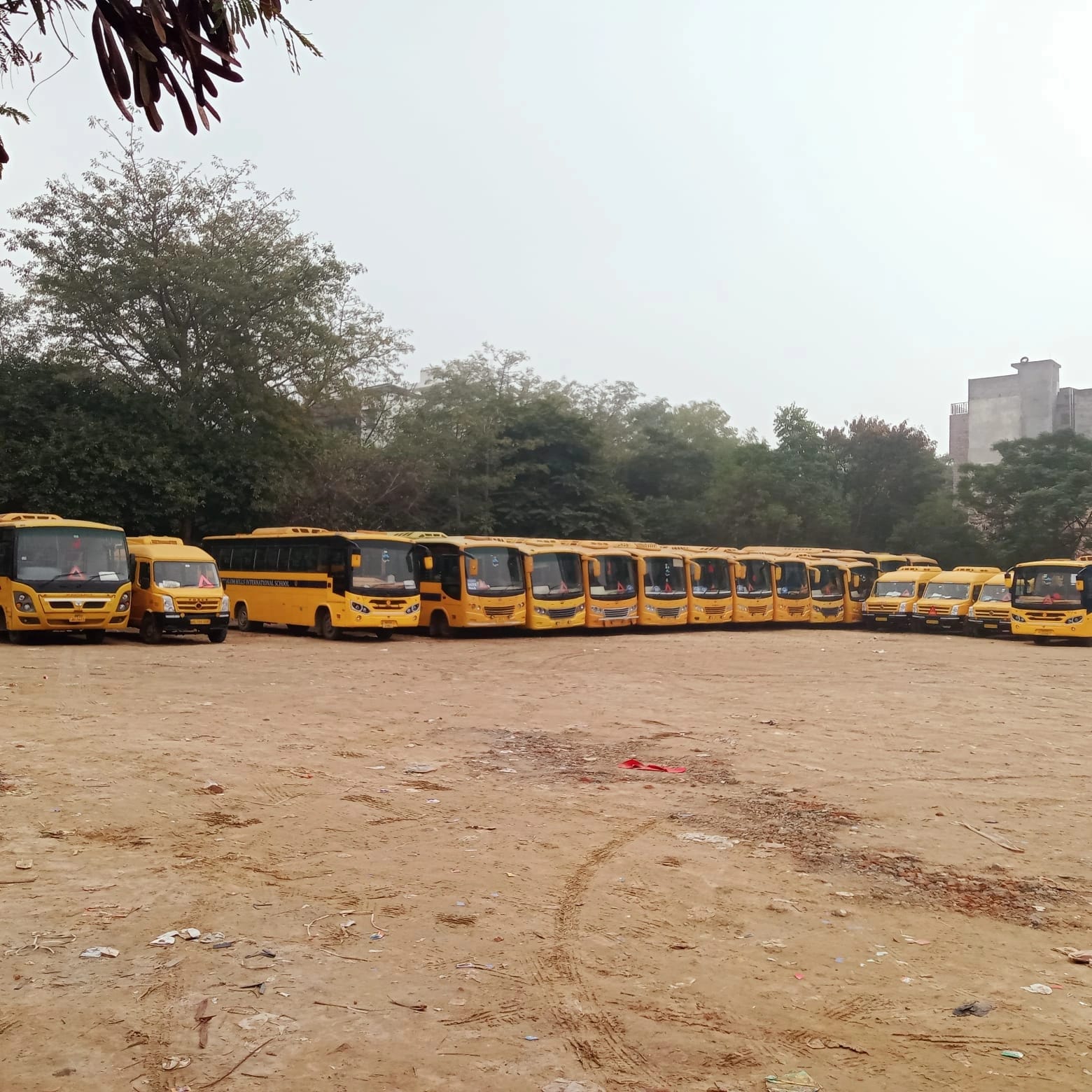 Mini Bus