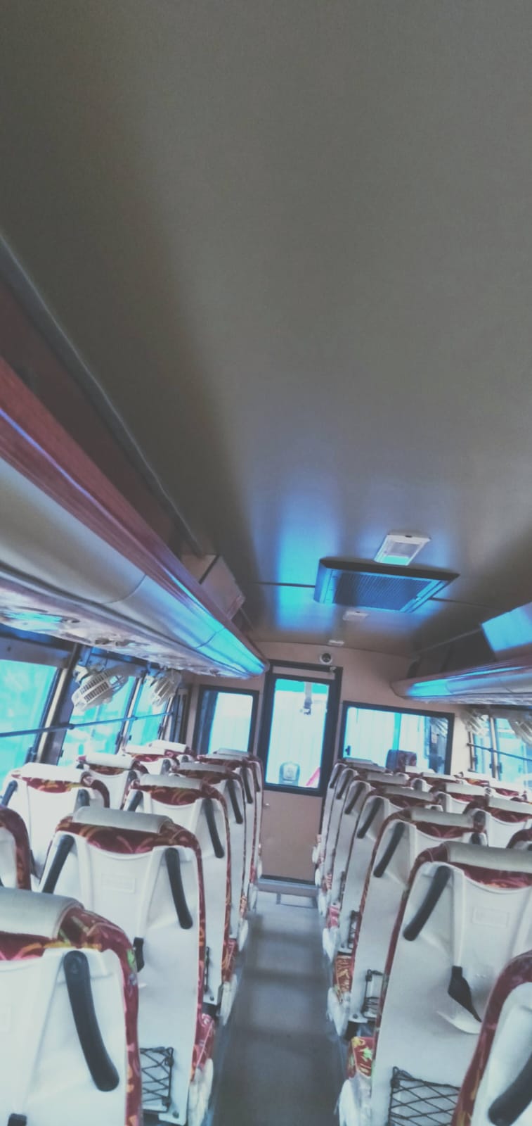 Mini Bus
